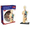 37-delige bouwset "Anatomie" - vanaf 8 jaar