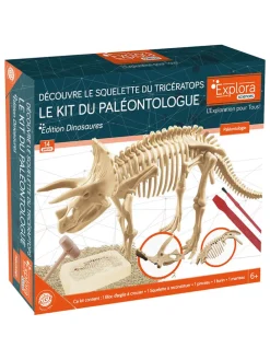 14-delige creativiteitsset "Paleontologie" - vanaf 6 jaar