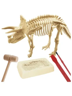 14-delige creativiteitsset "Paleontologie" - vanaf 6 jaar