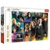 1.000-delige puzzel "Harry Potter" - vanaf 12 jaar