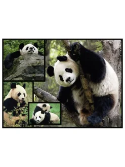 1.000-delige puzzel "Panda's" - vanaf 12 jaar