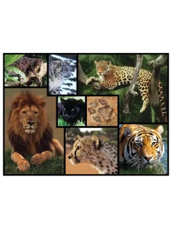 1.000-delige puzzel "Wilde katten" - vanaf 12 jaar