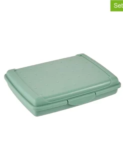 2-delige set: lunchboxen 