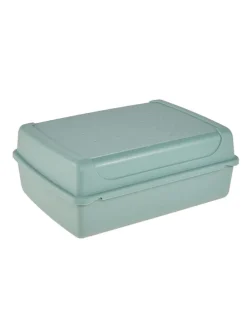 2-delige set: lunchboxen "Luca" groen - 1 l