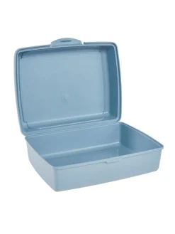 2-delige set: lunchboxen 