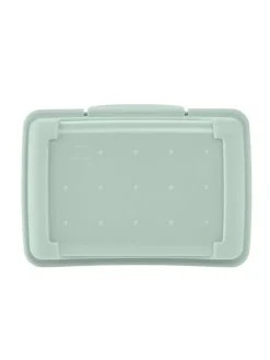 2-delige set: lunchboxen "Luca" mintgroen - 350 ml