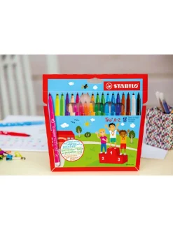 2-delige set: viltstiften 