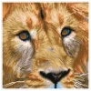 Diamond Painting "Serengeti Magic - Diamond Dotz" - vanaf 14 jaar