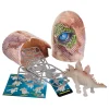 Dinosaurus in ei - vanaf 3 jaar (verrassingsproduct)