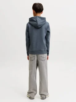 Hoodie blauwgrijs