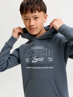Hoodie blauwgrijs