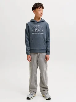 Hoodie blauwgrijs