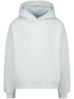 Hoodie grijs