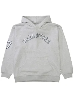 Hoodie grijs