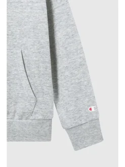 Hoodie grijs