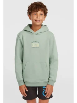 Hoodie groen