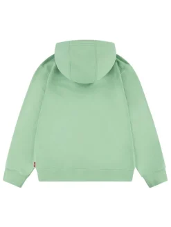 Hoodie groen