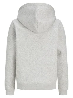 Hoodie lichtgrijs
