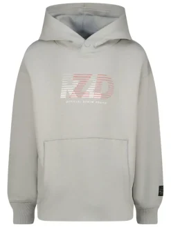 Hoodie "Naizy" grijs