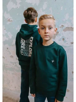 Hoodie "Nigel" groen