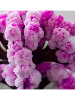 Kristallen boom "Magic Sakura" paars