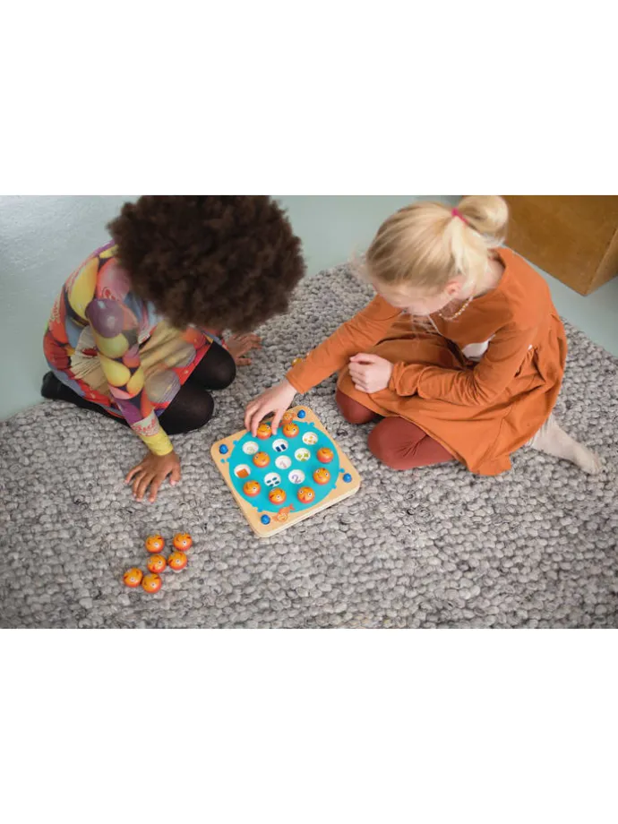 Memoryspel "VIs" - vanaf 3 jaar