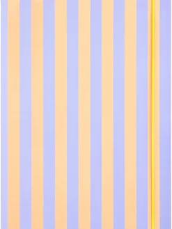 Opbergmap "Neon Stripes" - vanaf 5 jaar