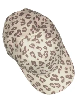 Pet beige