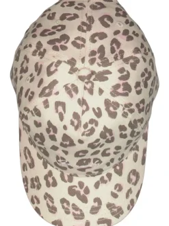 Pet beige