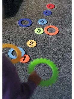 Ringgooispel 