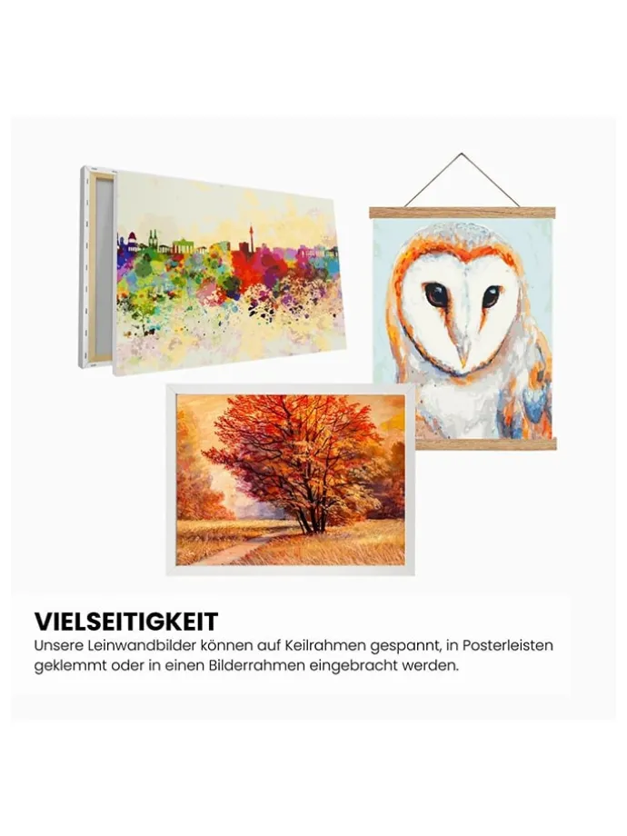 Schilderen-op-nummer-set "De Roze Kever" - vanaf 14 jaar