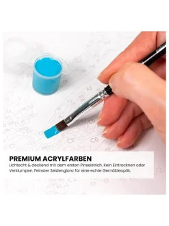 Schilderen-op-nummer-set