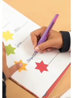 Schrijfleer-vulpen "STABILO Easy buddy - Feder M" zwart/groen