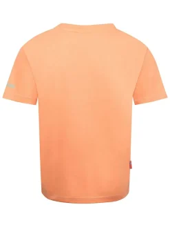 Shirt "Falketind" oranje