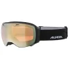 Ski-/snowboardbril "Big Horn" zwart/goudkleurig