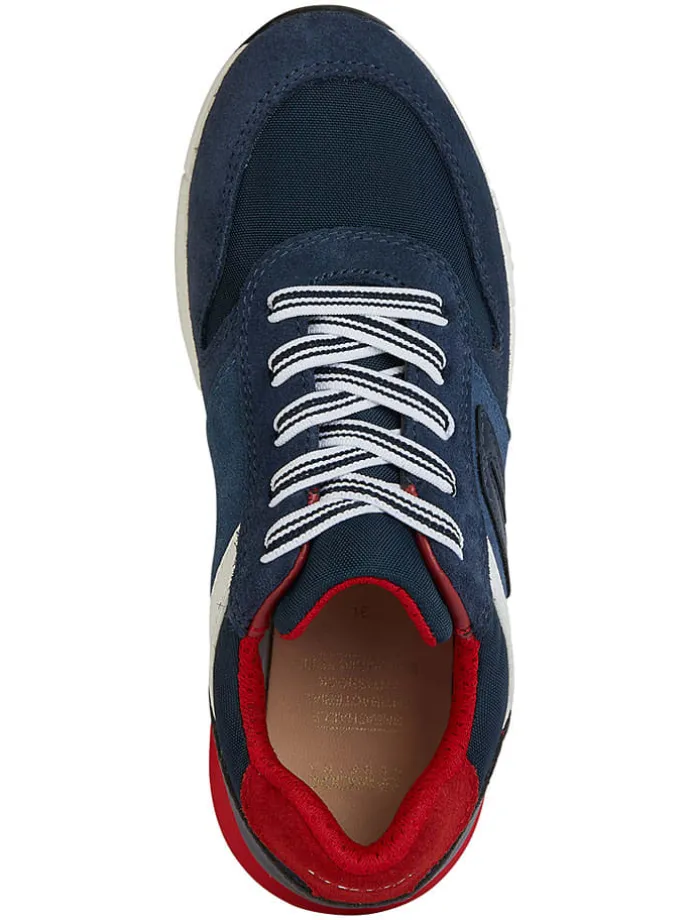 Sneakers "Alben" blauw