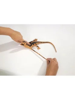 Stretch-creature - vanaf 3 jaar (verrassingsproduct)