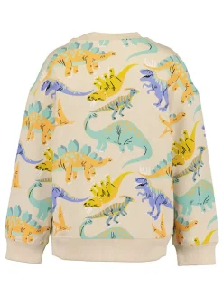 Sweatshirt beige/meerkleurig