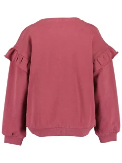Sweatshirt beskleurig