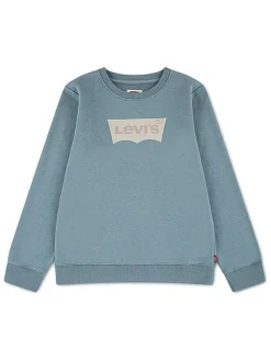 Sweatshirt blauw
