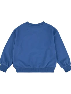 Sweatshirt blauw