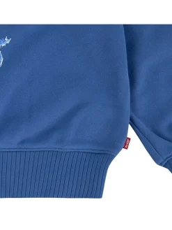 Sweatshirt blauw