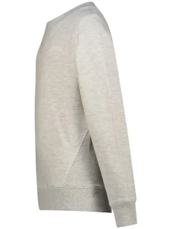 Sweatshirt grijs