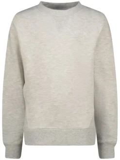 Sweatshirt grijs