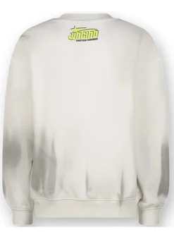 Sweatshirt grijs