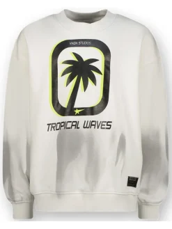 Sweatshirt grijs