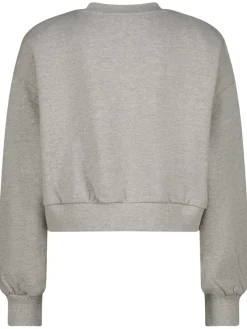 Sweatshirt grijs