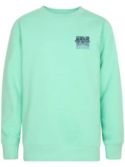 Sweatshirt groen