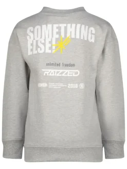 Sweatshirt "Norwin" lichtgrijs