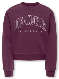 Sweatshirt paars